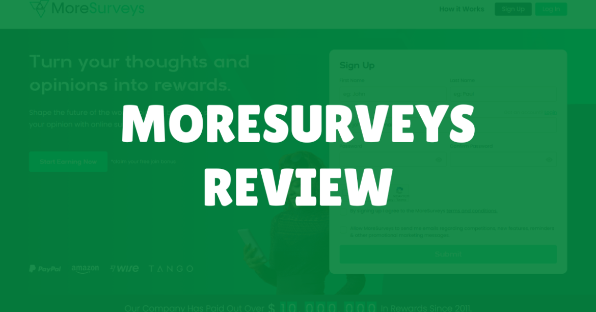 MoreSurveys Review